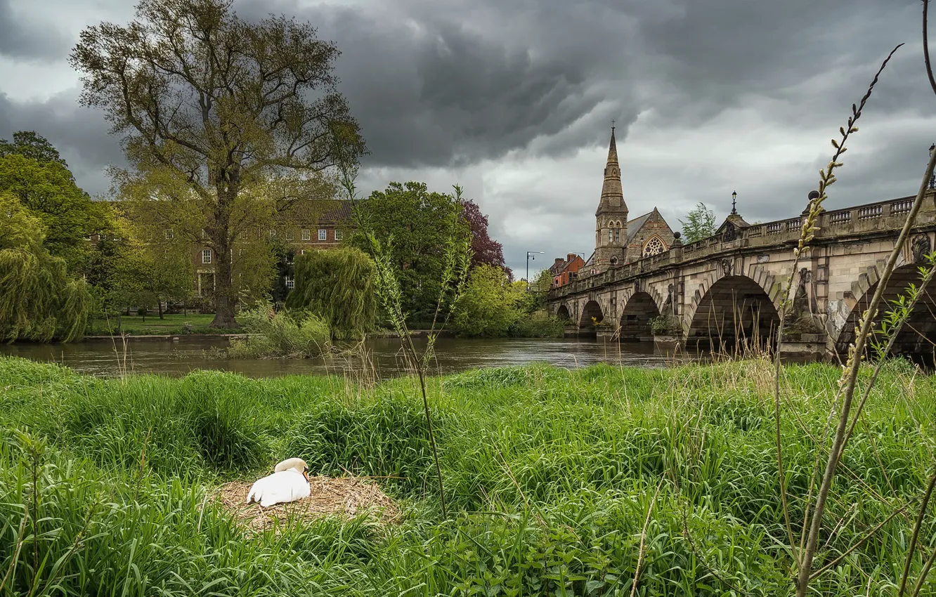 Фото обои England, Shrewsbury, Coleham