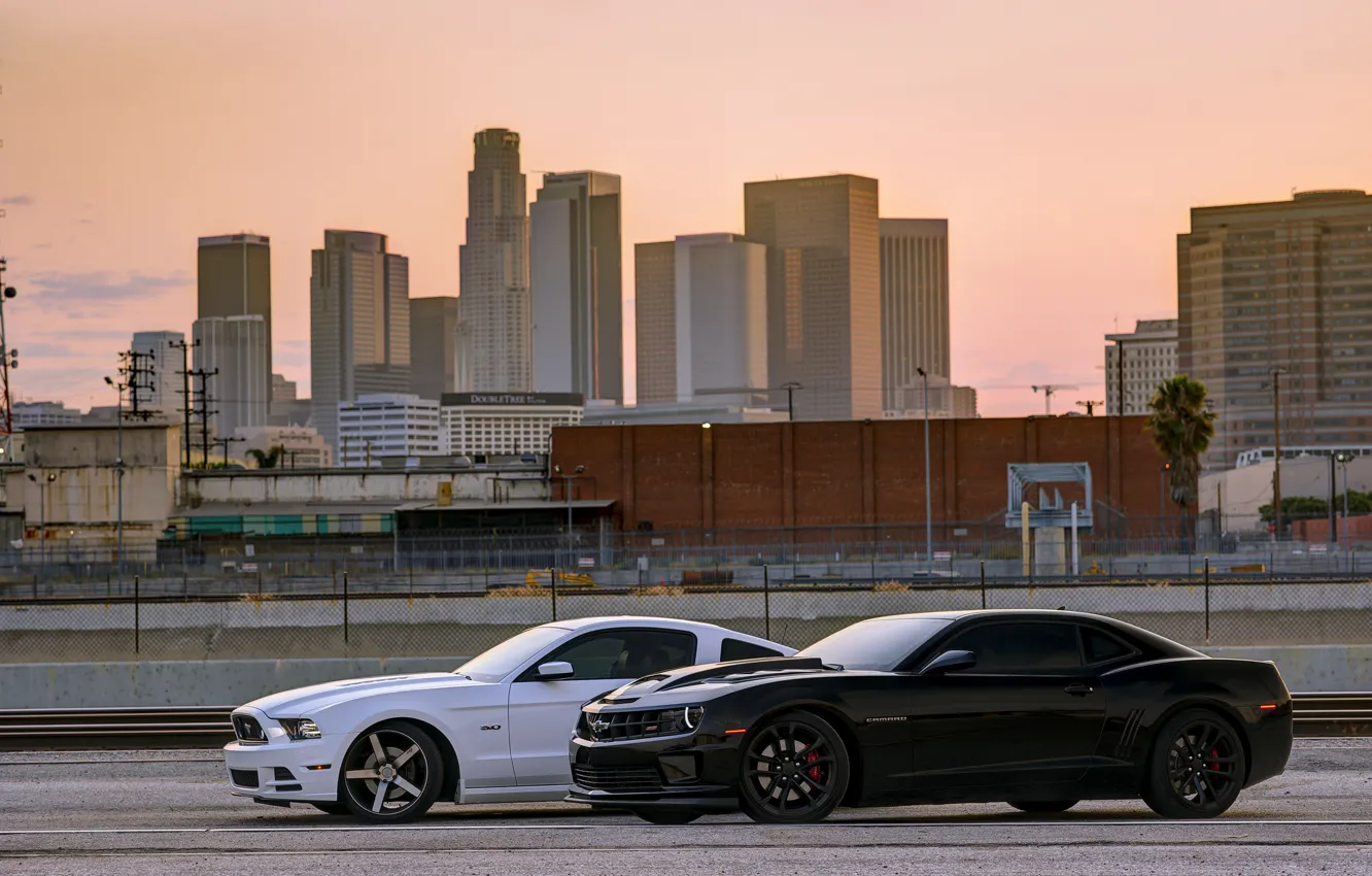 Фото обои тень, mustang, мустанг, white, ford, шевроле, black, форд