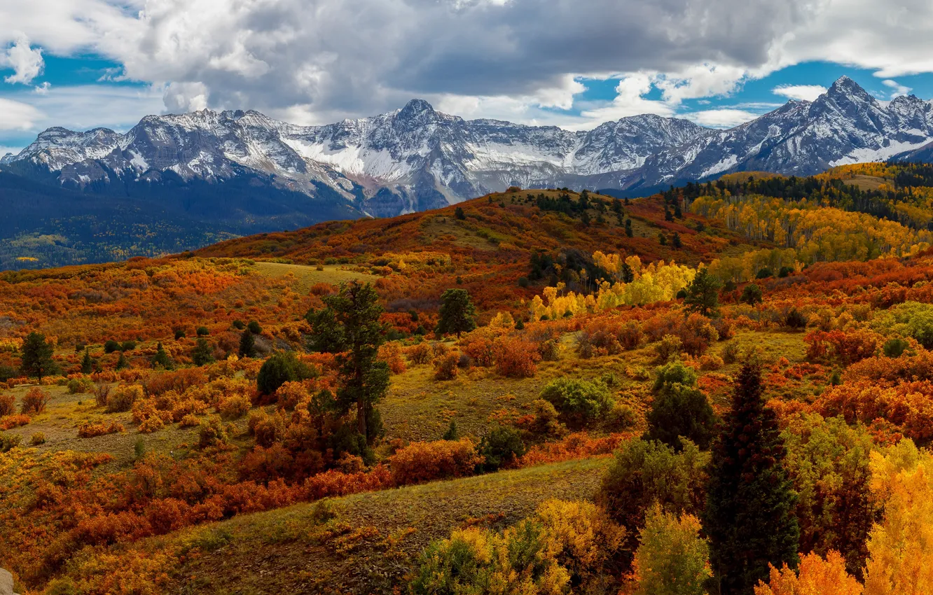 Фото обои осень, лес, горы, склоны, снежные вершины
