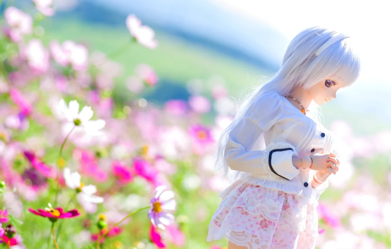 Фото обои лето, цветы, настроение, кукла, космея