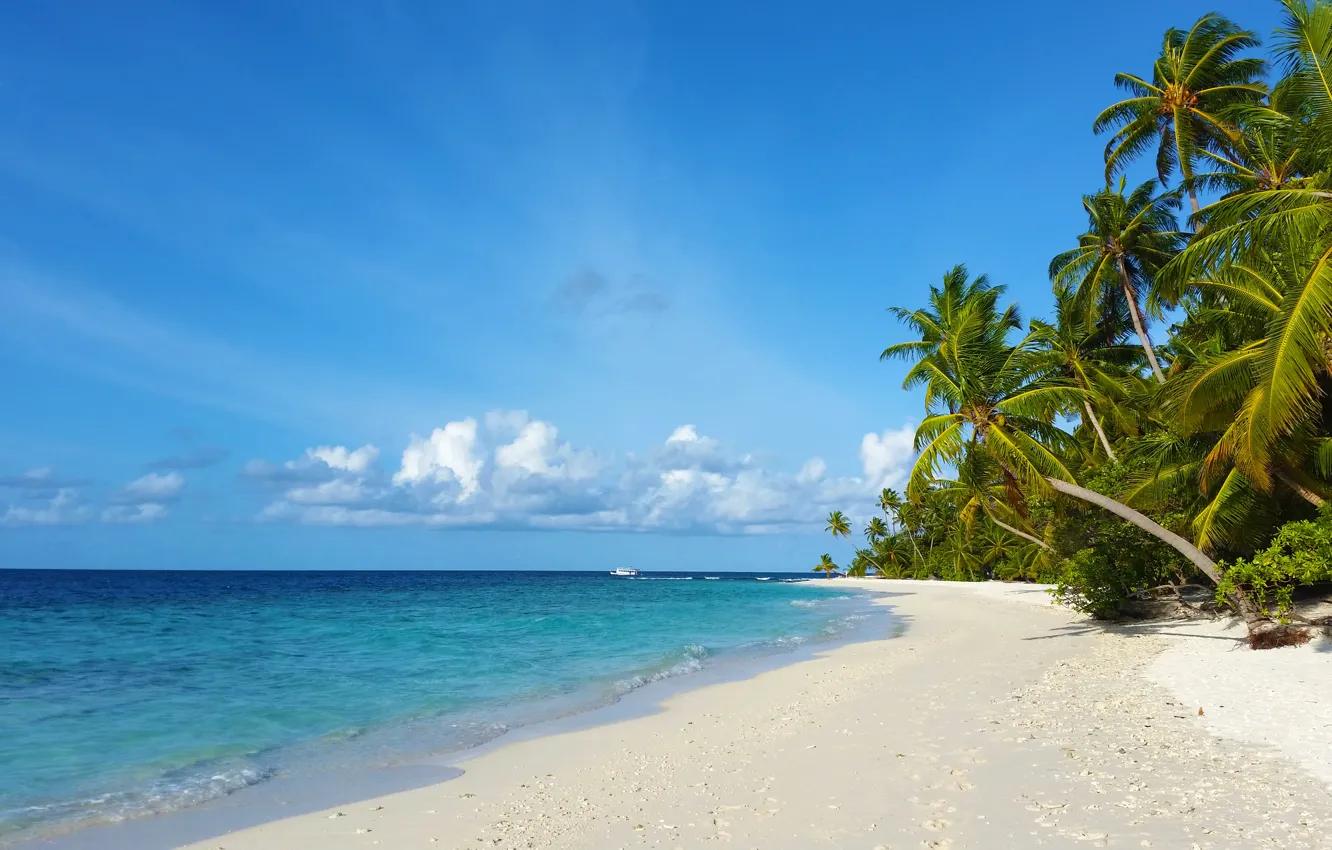 Фото обои пляж, тропики, пальмы, океан, остров, красота, экзотика, белый песок