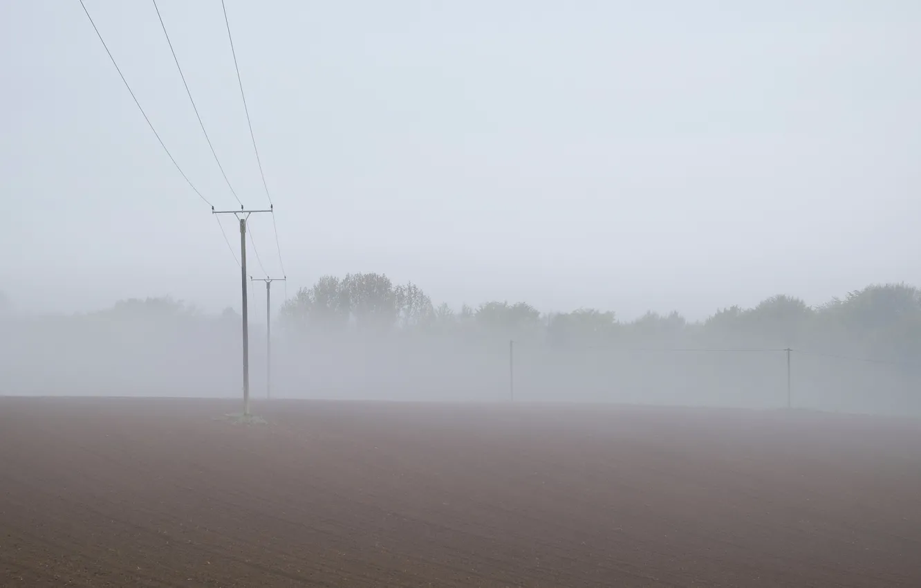 Фото обои поле, туман, лэп