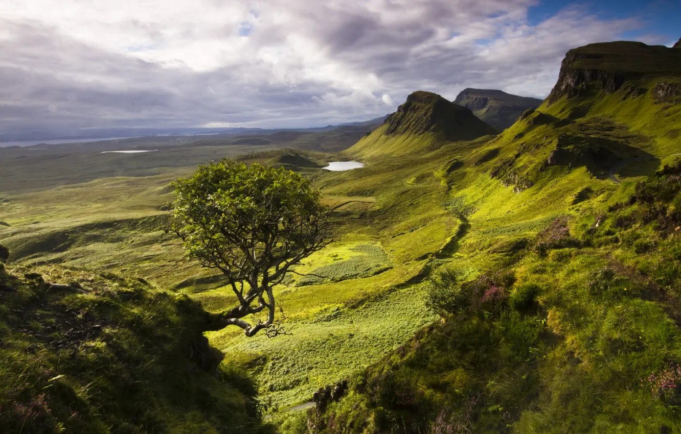 Фото обои горы, дерево, остров, озера, Шотландия, Скай