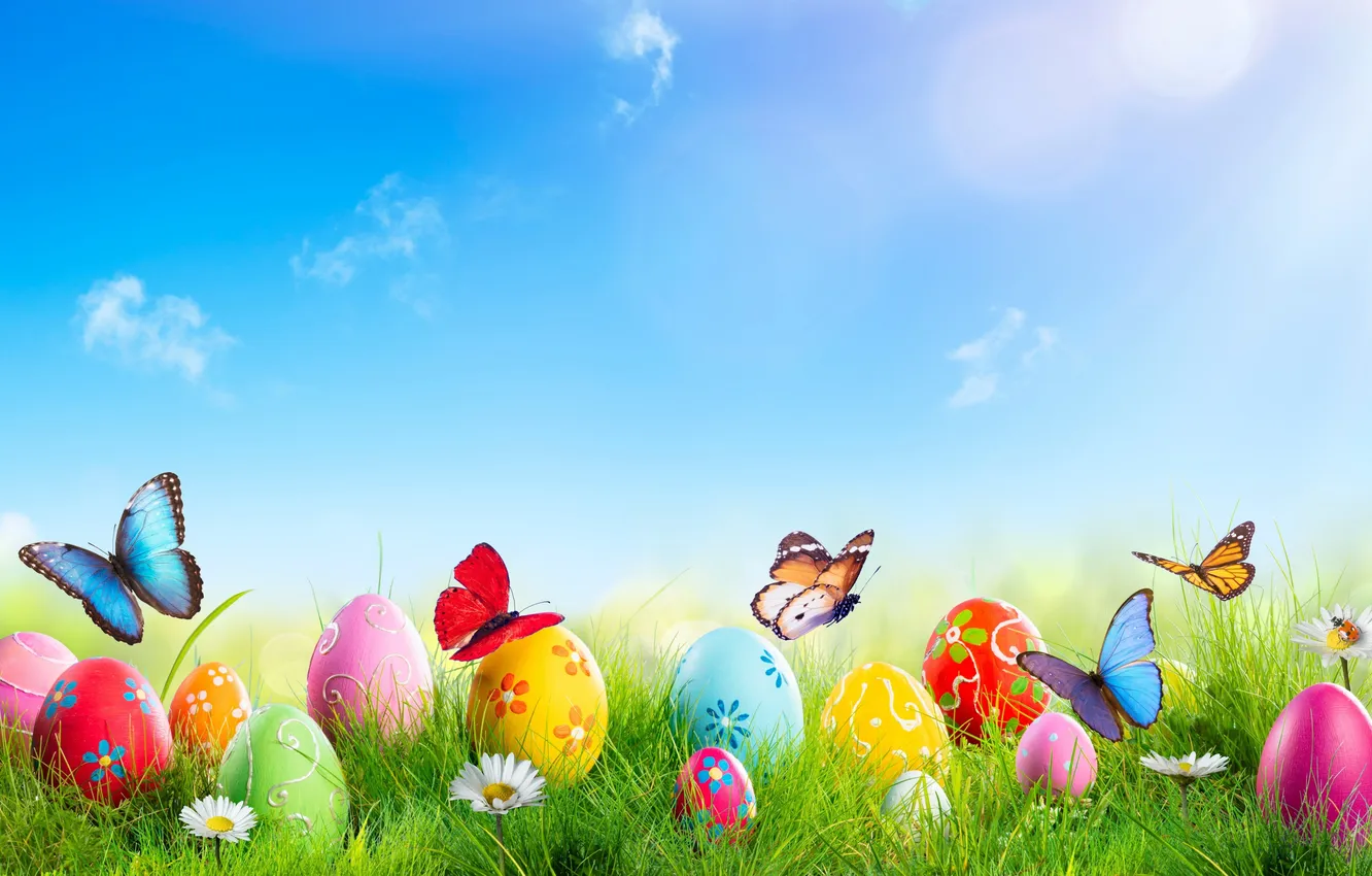 Фото обои цветы, яйца, весна, colorful, Пасха, happy, flowers, spring