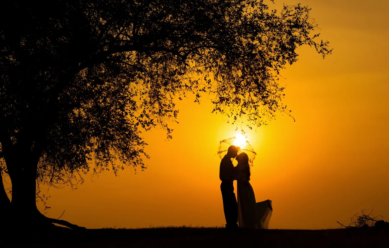 Фото обои девушка, солнце, любовь, радость, счастье, закат, фон, дерево