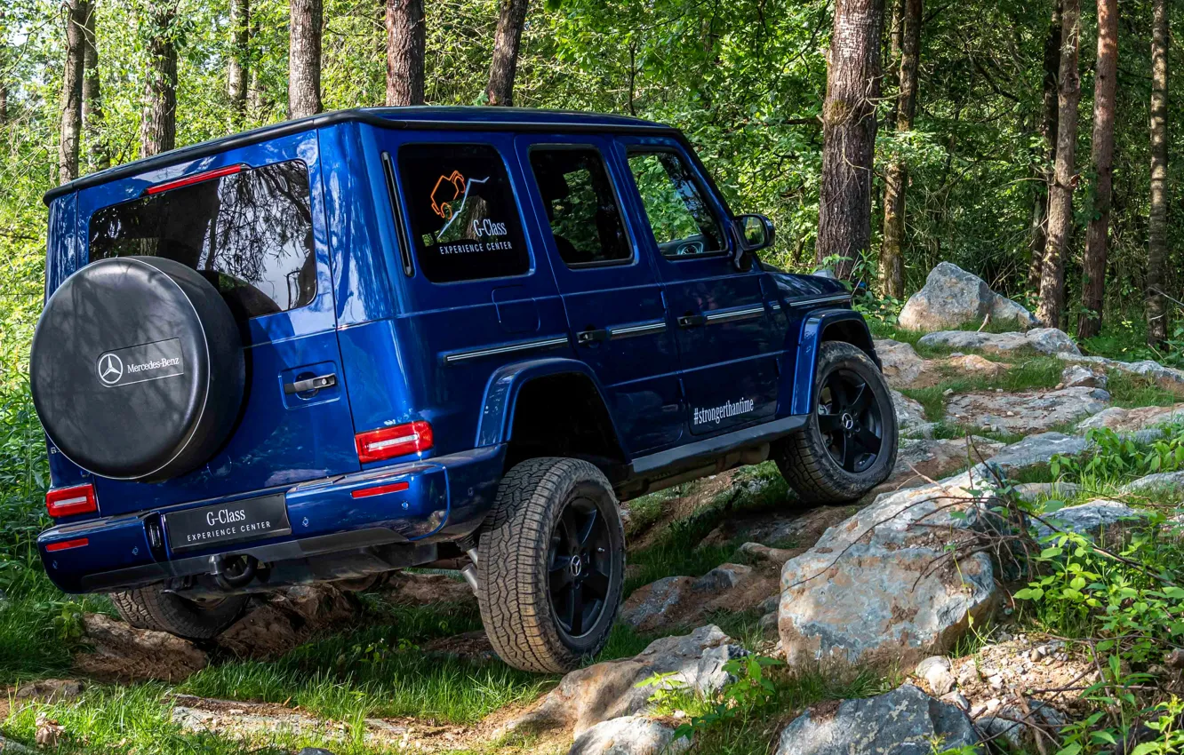 Фото обои лес, синий, Mercedes-Benz, внедорожник, 4x4, G-Class, 2019