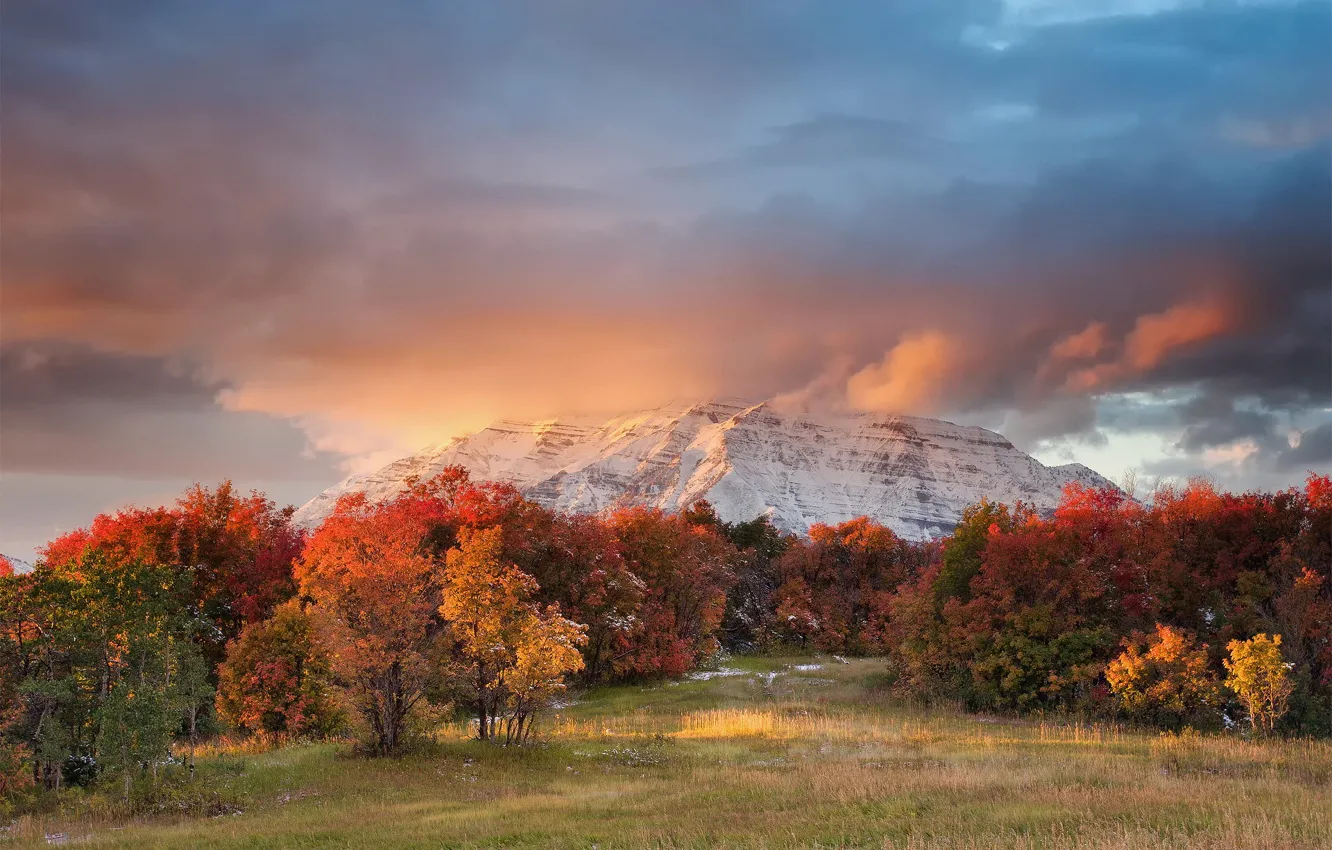 Фото обои осень, гора, Юта, США, Timpanogos, штат, горный хребет, Уосатч