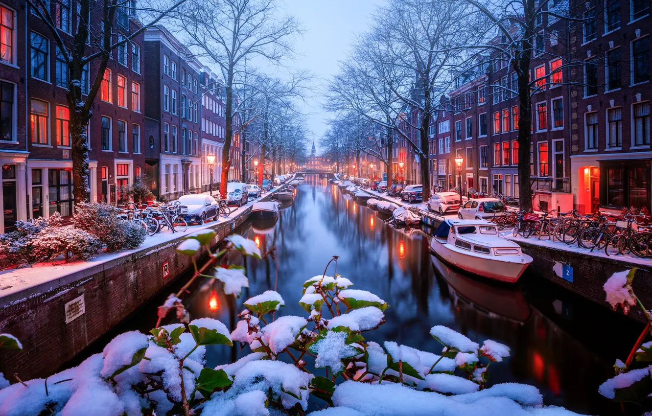 Фото обои листья, снег, деревья, ветки, лодки, Амстердам, канал, Нидерланды