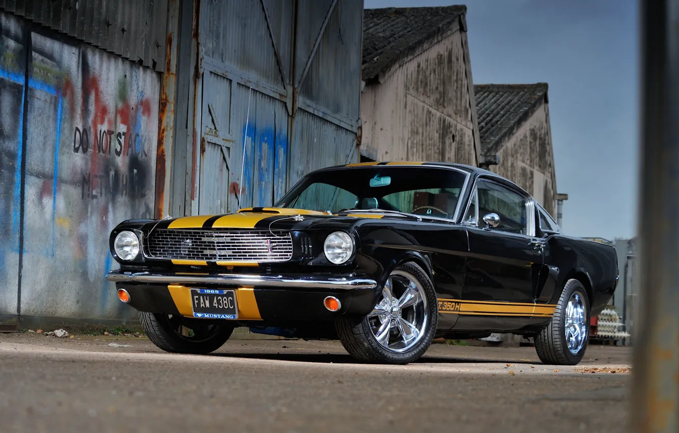 Фото обои Mustang, Ford, Car, Ford Mustang, Muscle car, Shelby GT 350 H Replica