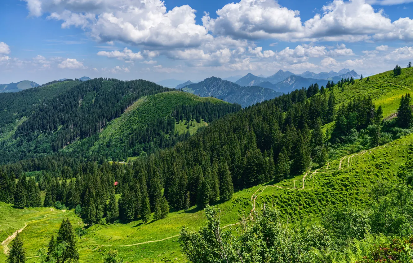 Фото обои зелень, лес, небо, солнце, облака, деревья, горы, тропа
