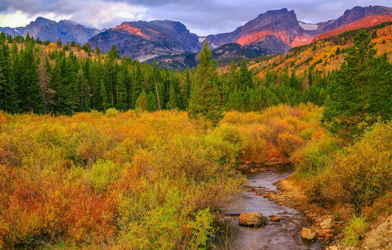 Фото обои осень, деревья, горы, природа, река, ручей, Колорадо, США