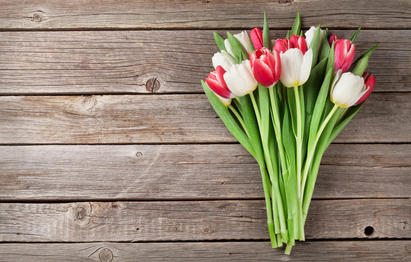 Фото обои цветы, букет, тюльпаны, red, white, wood, flowers, tulips