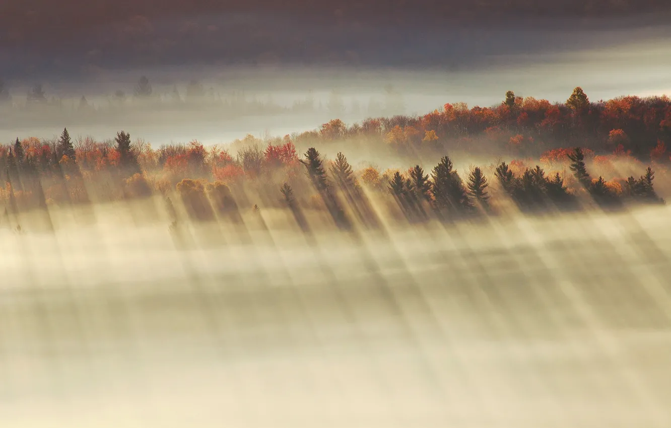 Фото обои осень, лучи, свет, утро, долина
