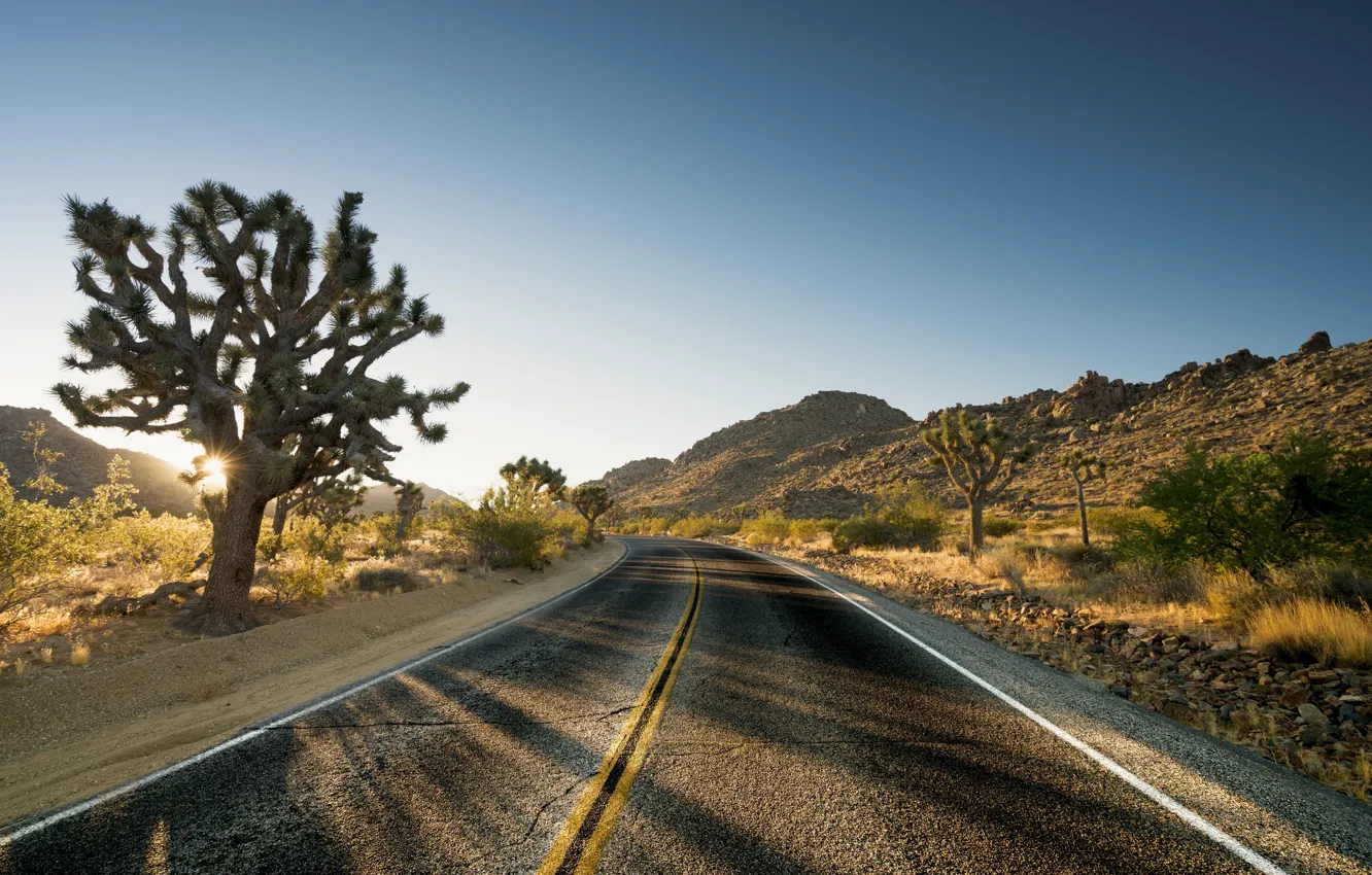 Фото обои дорога, утро, поворот