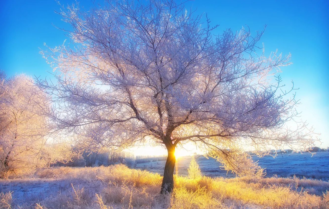 Фото обои пейзаж, природа, Зима, утро, Россия, Орск