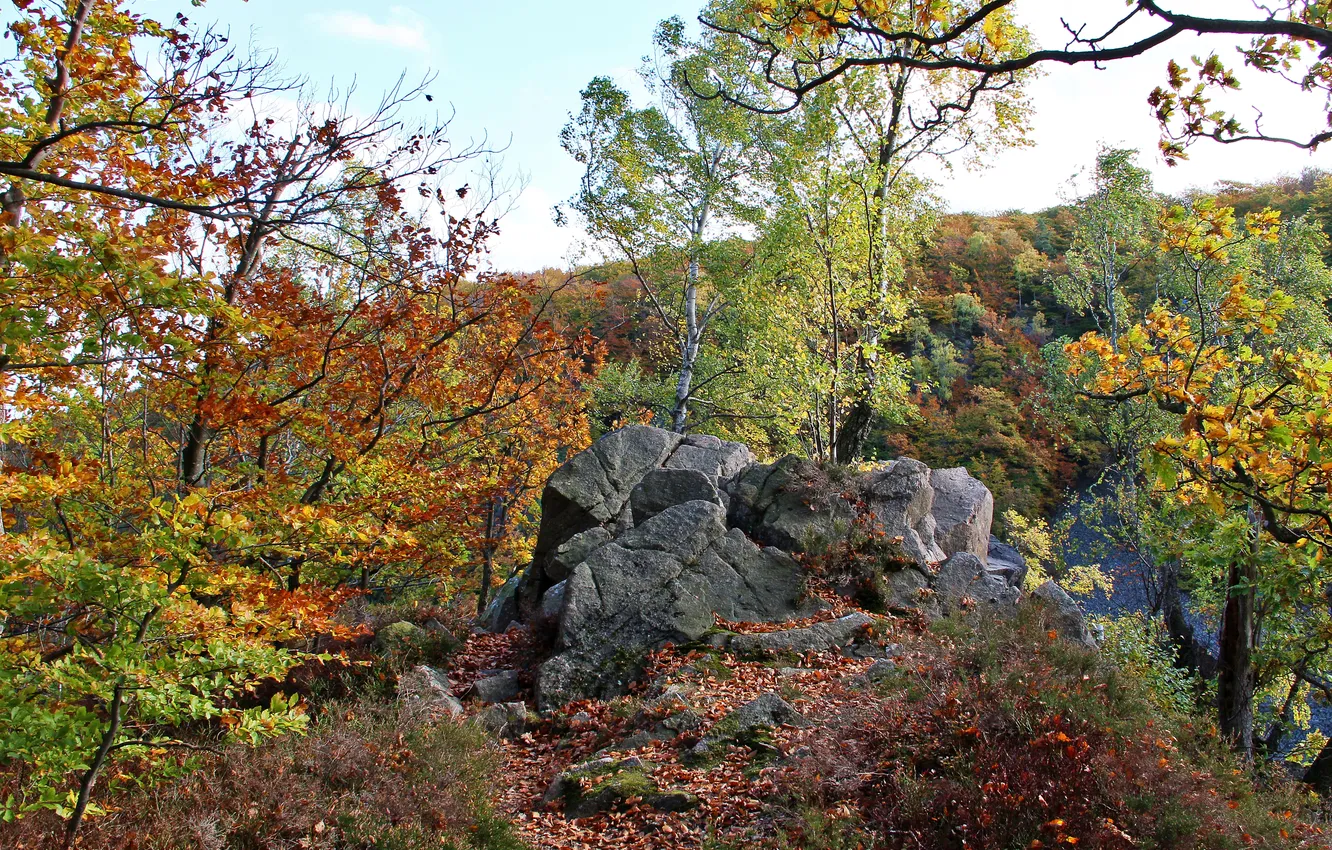 Фото обои осень, небо, листья, деревья, пейзаж, горы, камни