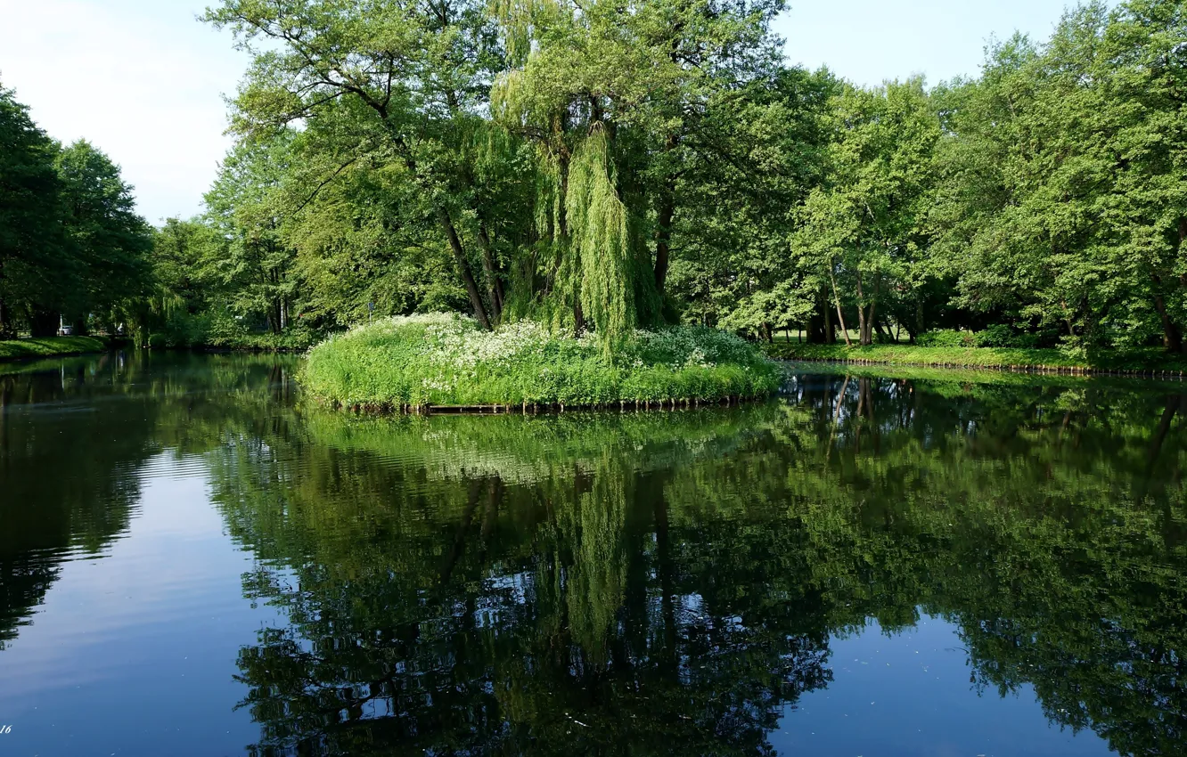 Фото обои green, lake, tree