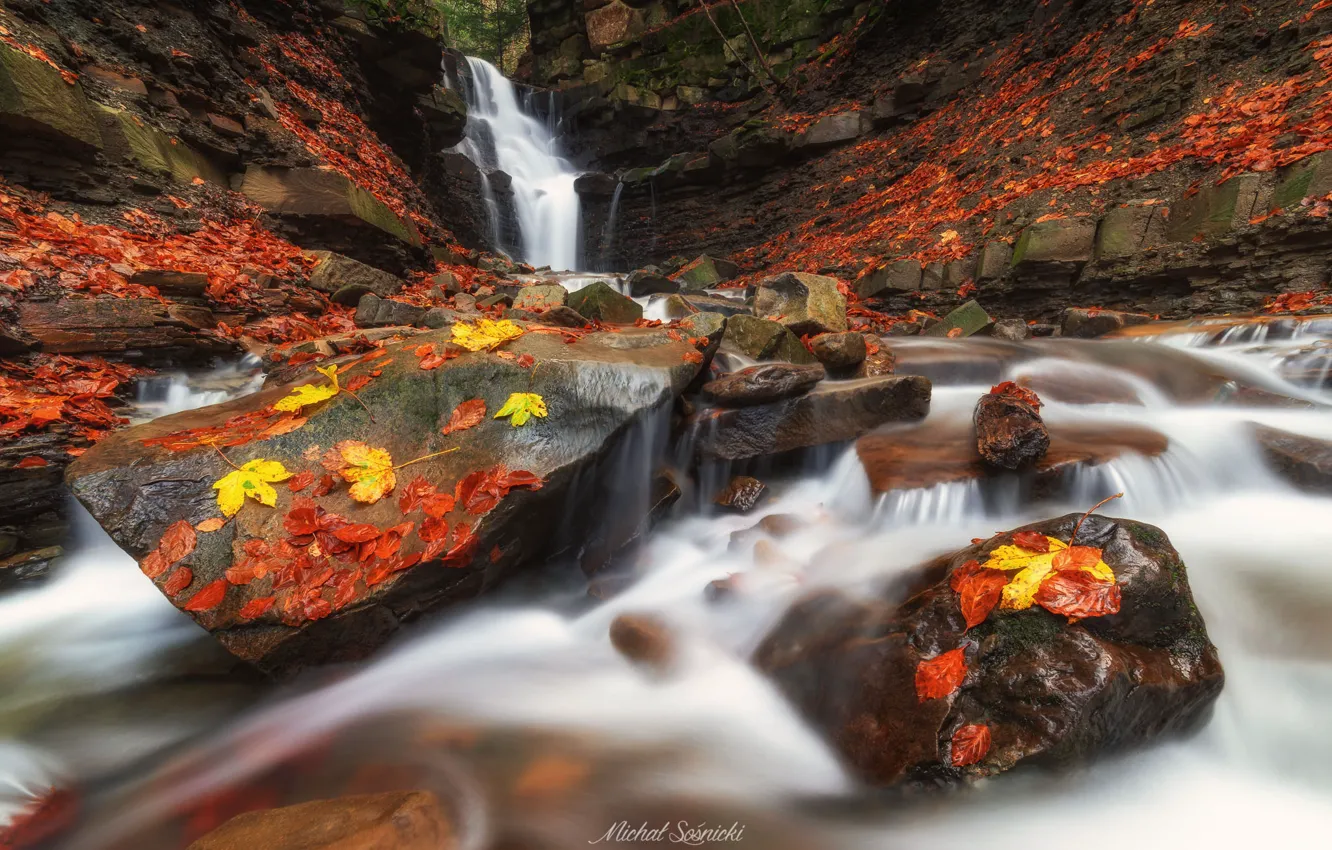 Фото обои осень, листья, природа, камни, водопад, Sośnicki Michał