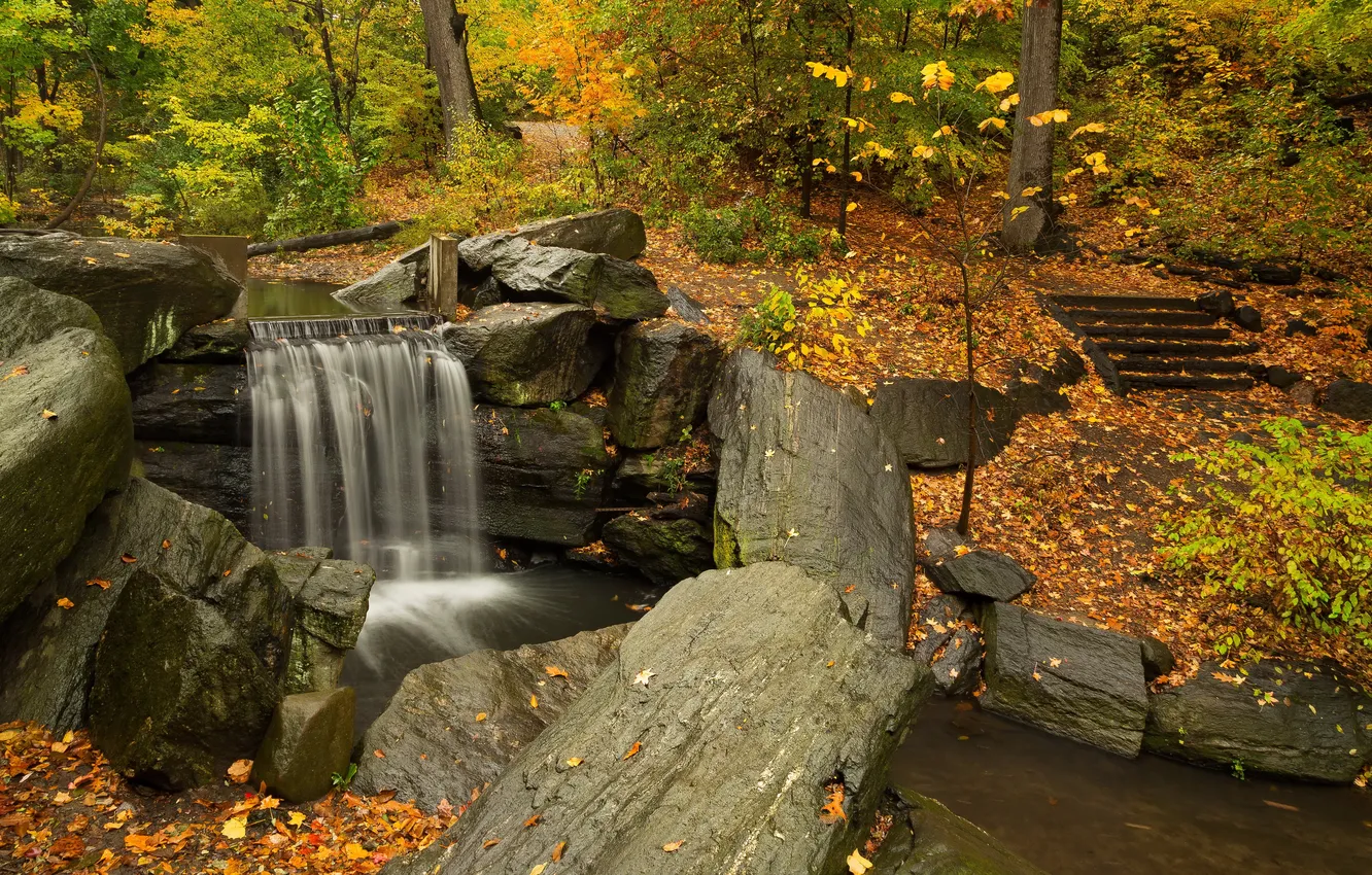 Фото обои осень, листья, деревья, парк, ручей, камни, водопад, кусты