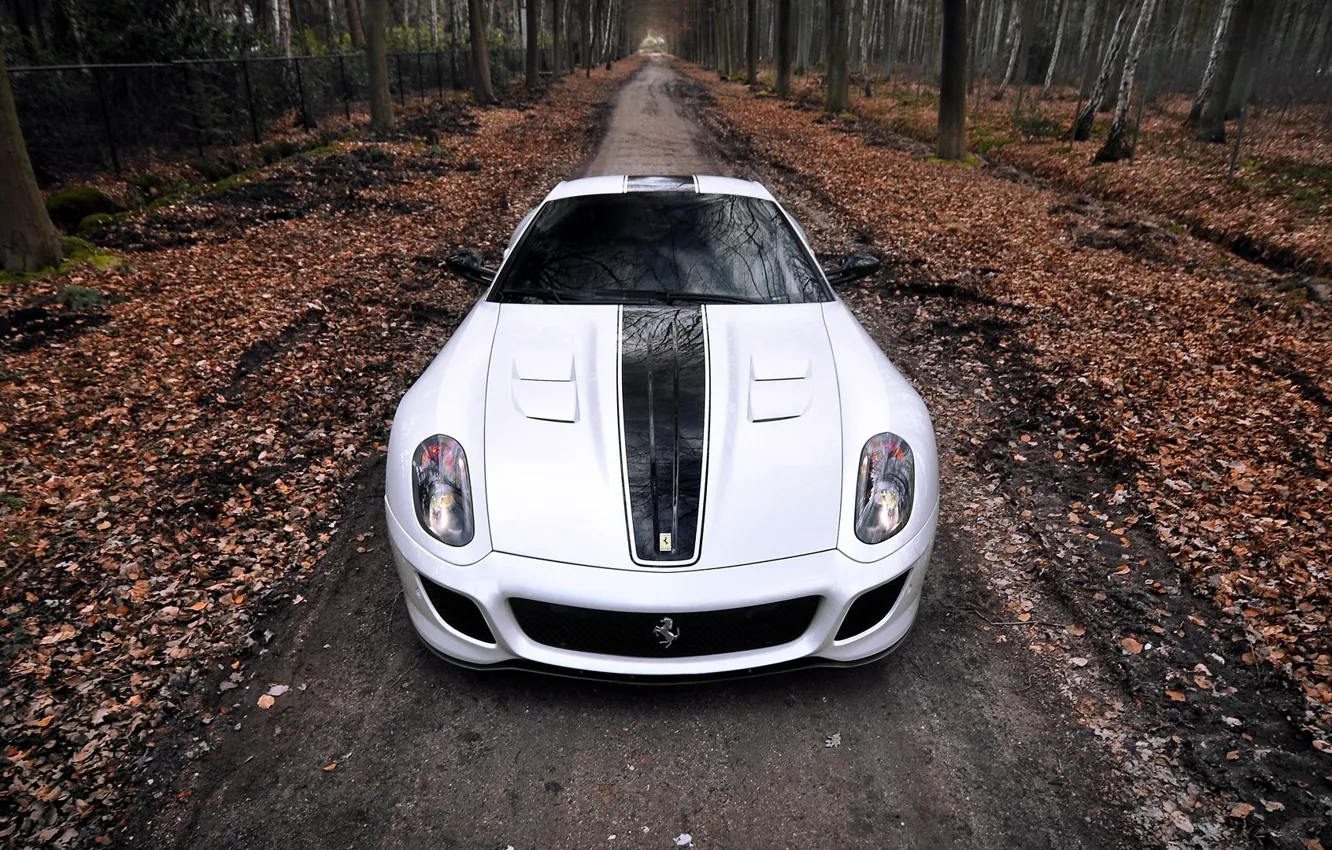 Фото обои Ferrari, cars, white Ferrari