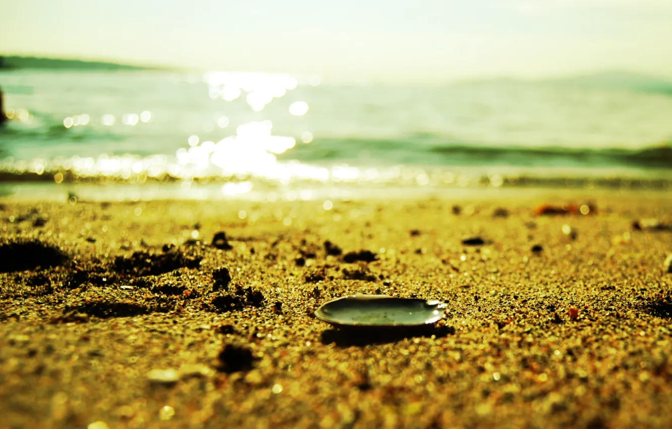 Фото обои песок, море, пляж, лето, вода, макро, свет, блеск