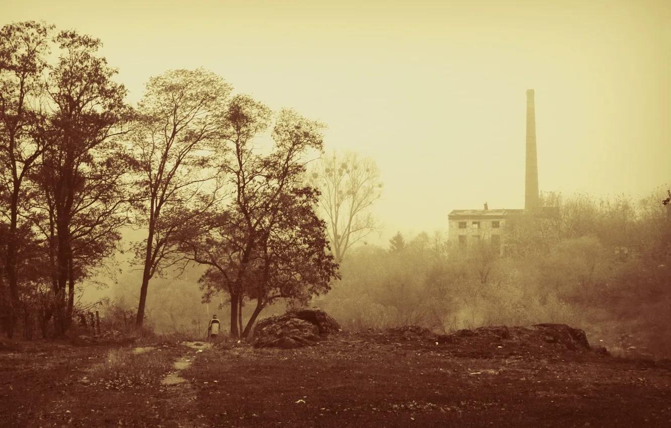 Фото обои осень, город, туман, труба, сепия