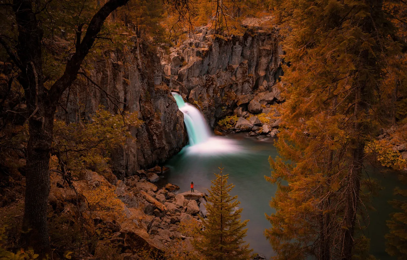 Фото обои деревья, река, скалы, водопад, Калифорния, California, Upper McCloud Falls, McCloud River