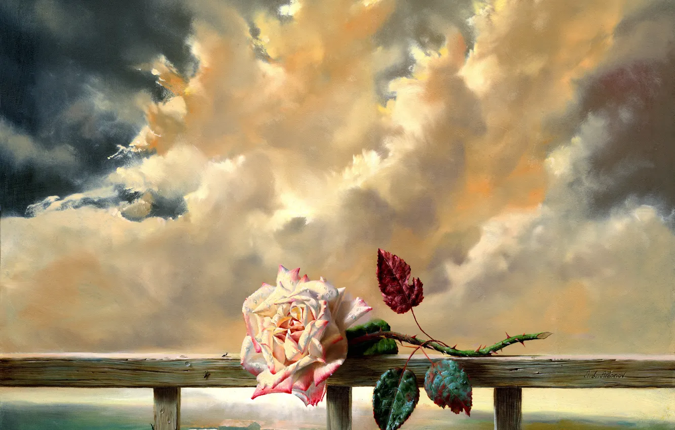 Фото обои цветок, облака, свежесть, роза, живопись