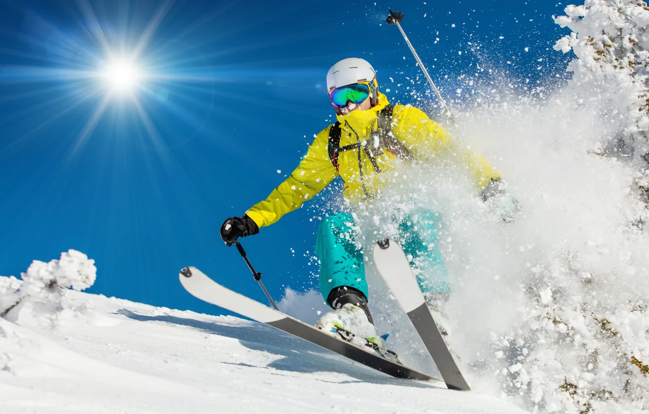 Фото обои снег, природа, спуск, спорт, елки, спортсмен, экстрим, экипировка