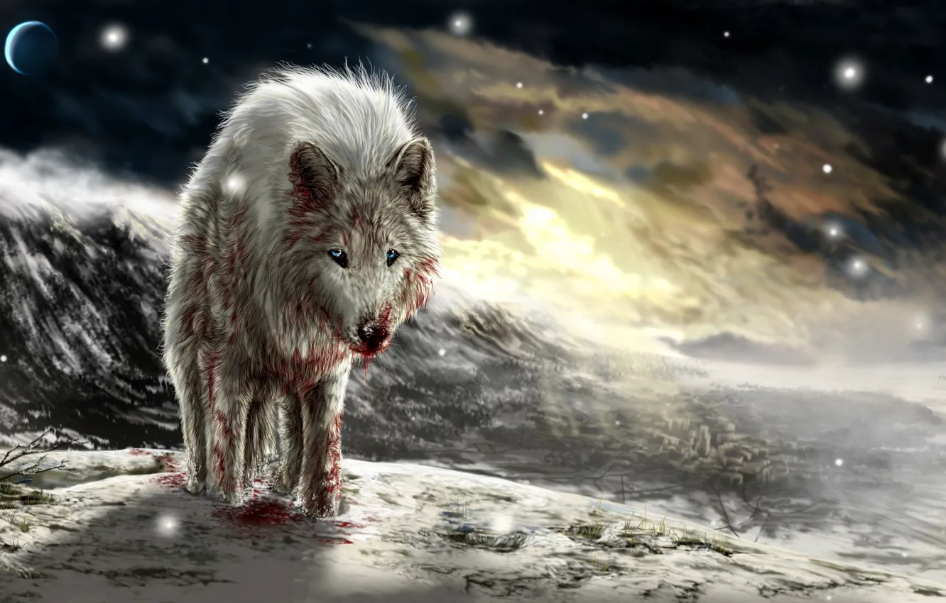 Фото обои закат, кровь, волк