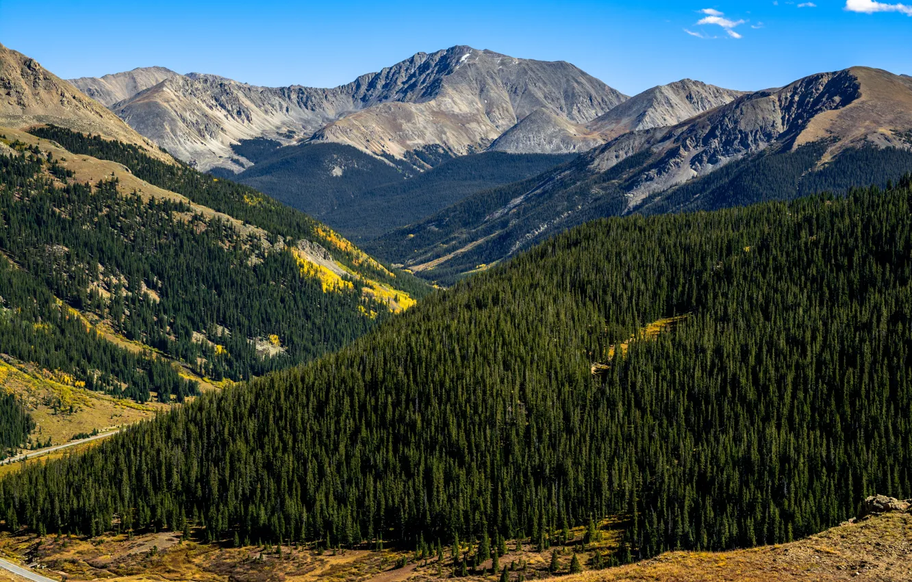 Фото обои Природа, Горы, Лес, Колорадо, Пейзаж, Аспен