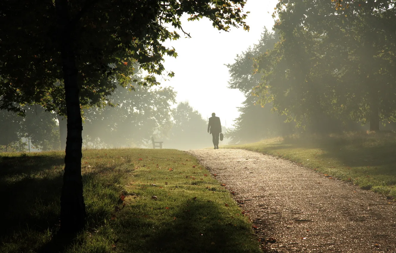 Фото обои туман, парк, человек, дорожка