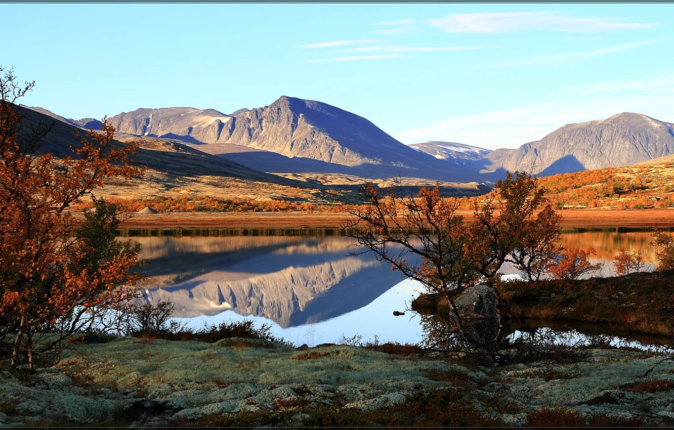 Фото обои Norway, Hedmark Fylke, Rondane National Park, Blæsterdalen, Норвегтя