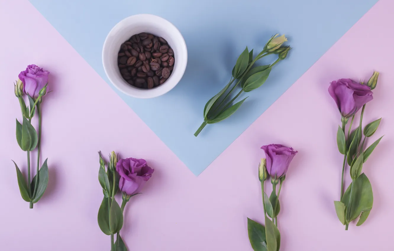 Фото обои фиолетовый, цветы, фон, кофе, зерна, чашка, flowers, cup