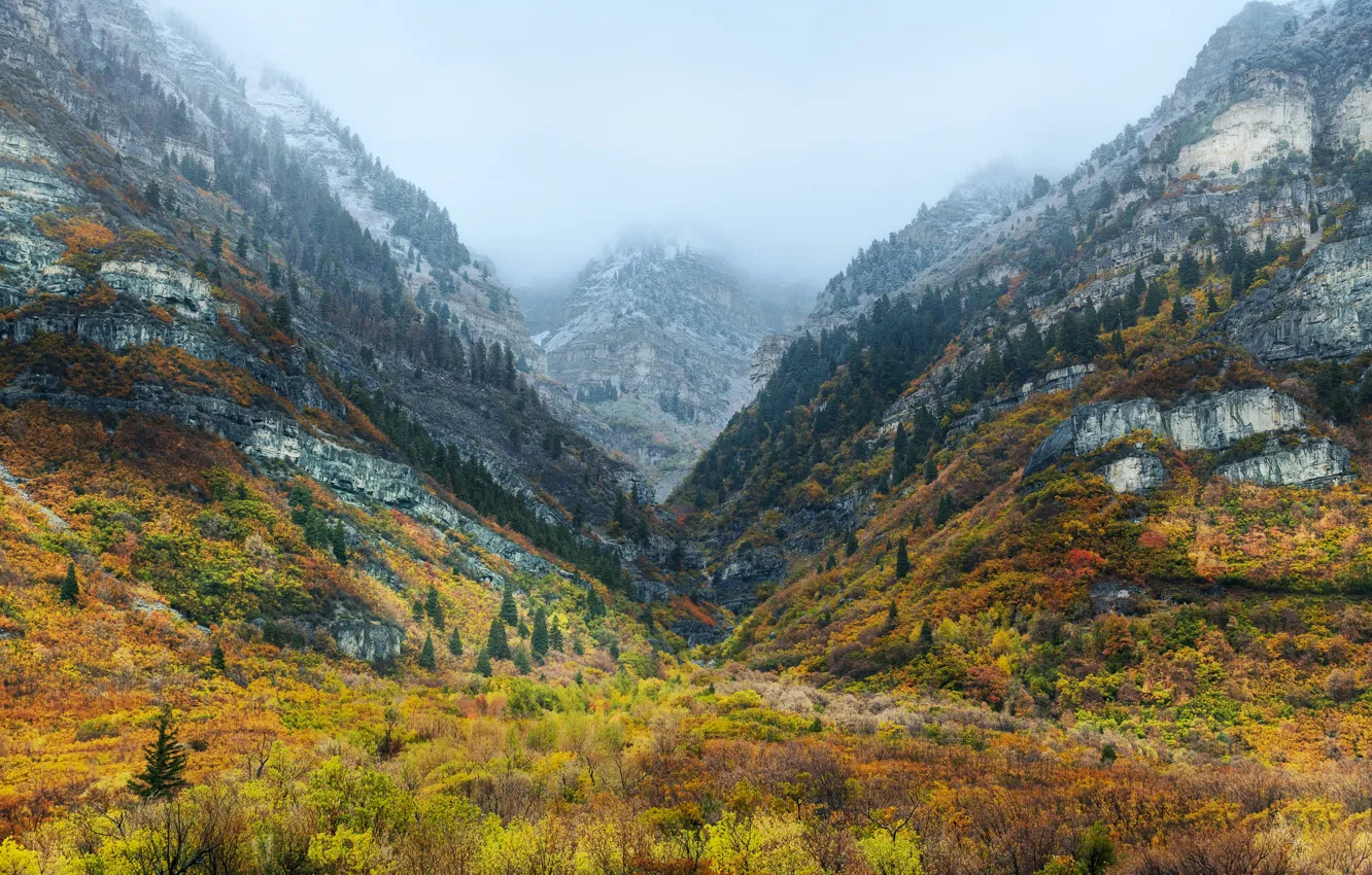 Фото обои осень, USA, Utah, Wasatch Mountains