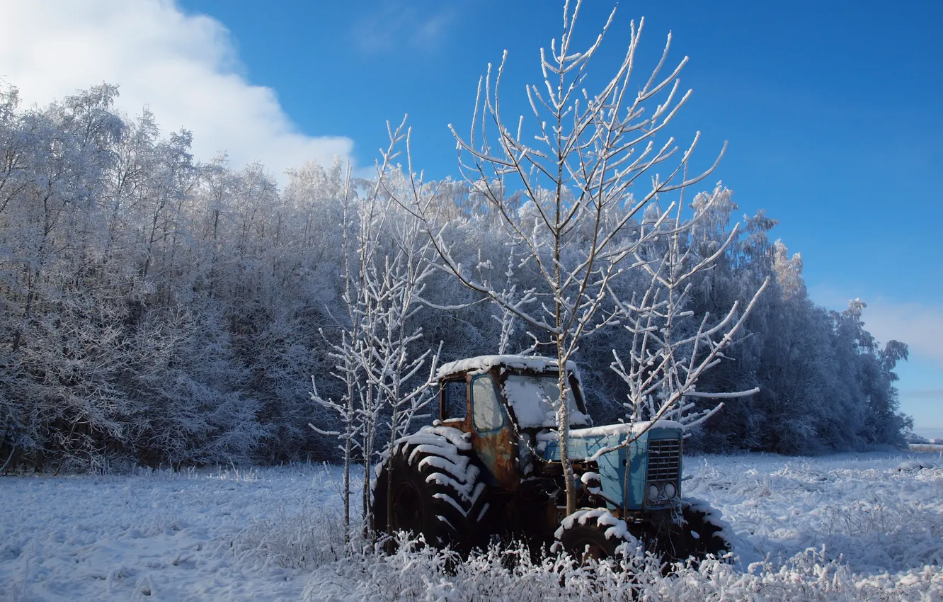 Фото обои зима, поле, деревья, пейзаж, природа, трактор