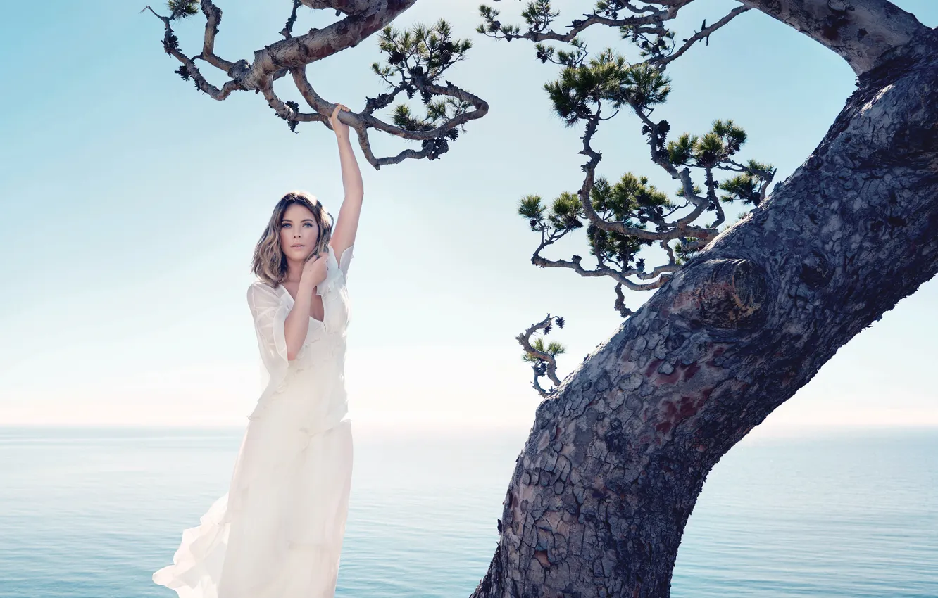 Фото обои море, дерево, модель, платье, актриса, горизонт, фотограф, красотка