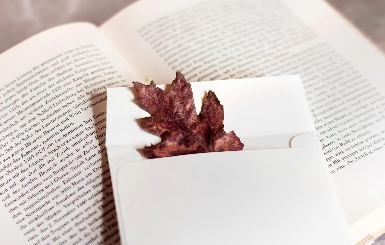 Фото обои осень, белый, текст, лист, листок, книга, страницы, конверт