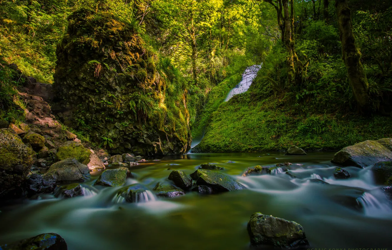 Фото обои лес, река, камни, водопад, речка