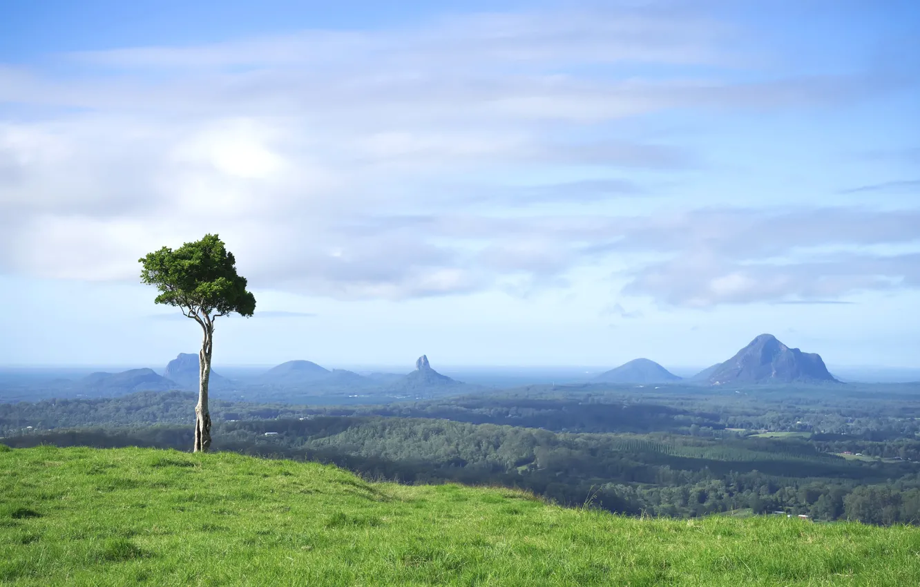 Фото обои nature, Australia, One Tree Hill