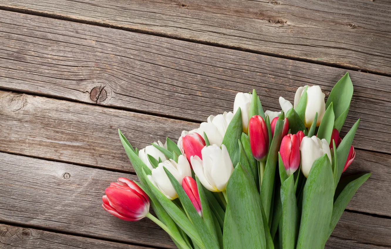 Фото обои цветы, букет, тюльпаны, red, white, wood, flowers, tulips