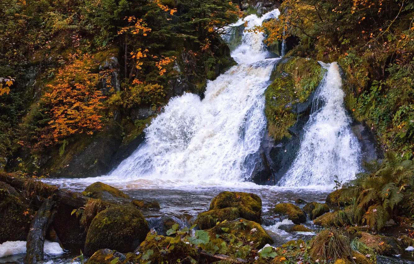 Фото обои осень, лес, камни, скалы, берег, листва, водопад, поток