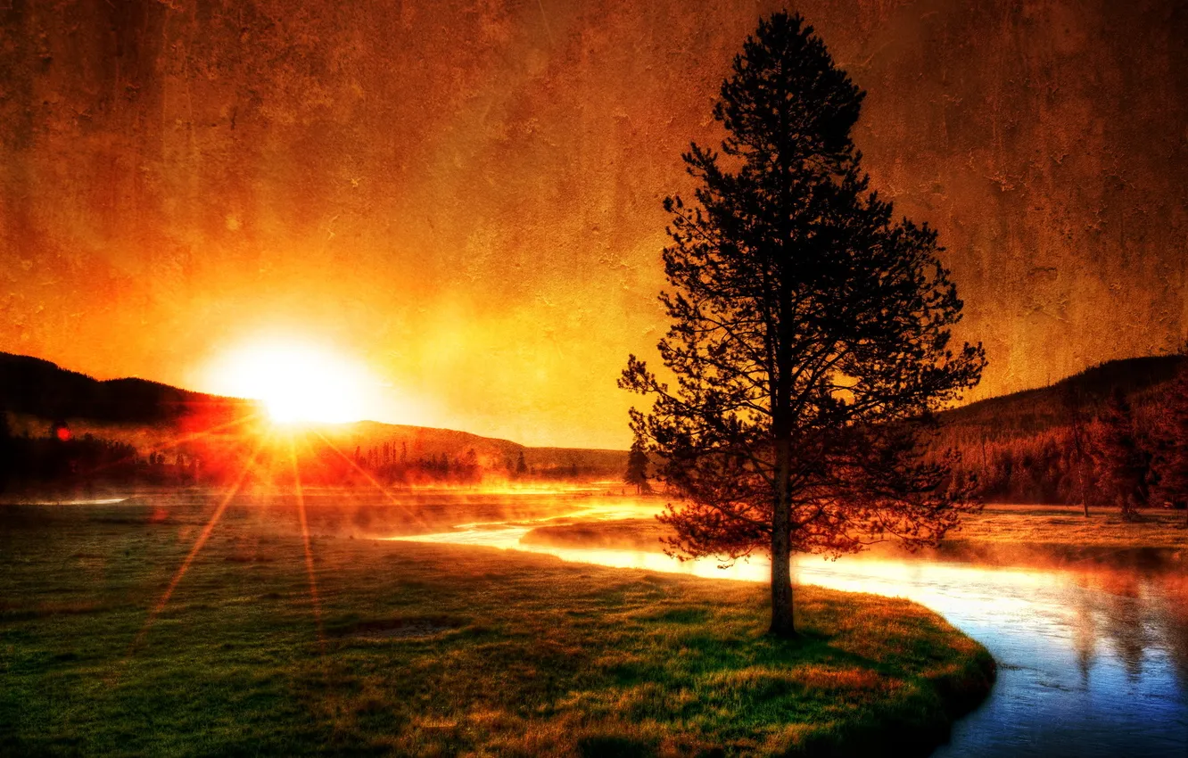 Фото обои солнце, закат, горы, природа, туман, река, фото, дерево