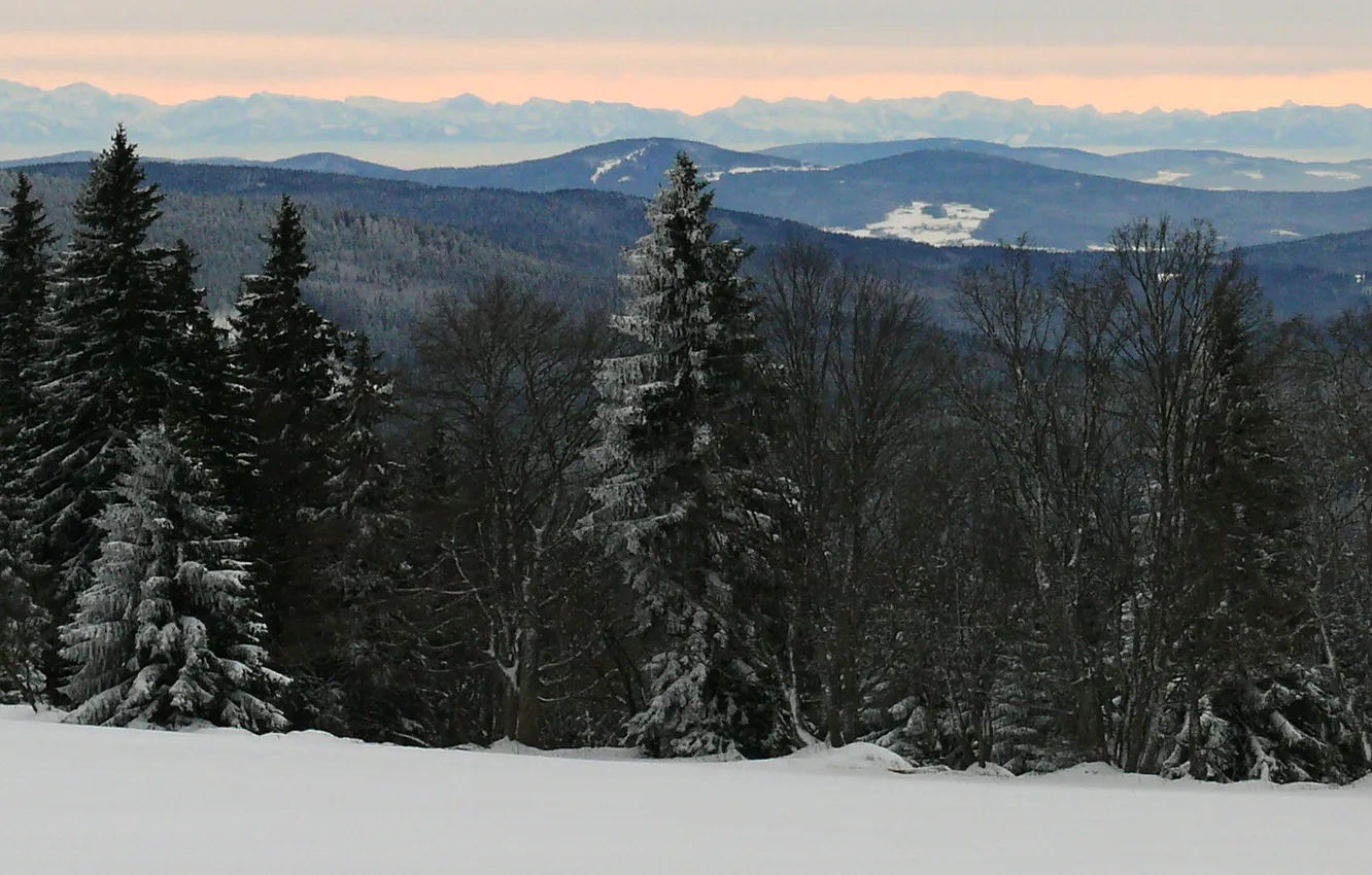 Фото обои зима, лес, снег, горы, Чехия, Шумава, narodni park Šumava, obec Horská Kvilda
