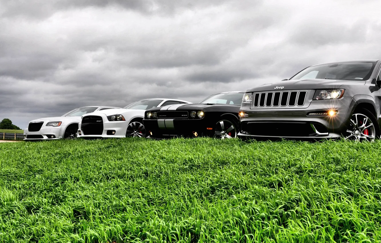 Фото обои авто, небо, трава, крастоа, jeep grand cherokee, dodge challenger str8, chrysler 300 srt8, dodge avenger …