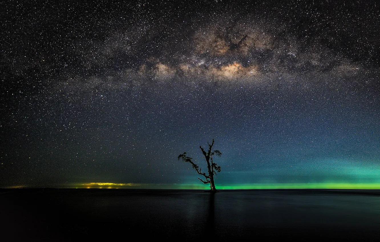 Фото обои звезды, озеро, дерево, горизонт, залив, Млечный Путь, тайны
