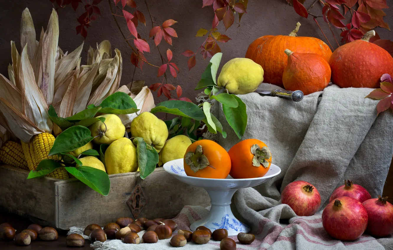Фото обои темный фон, еда, кукуруза, тыквы, посуда, фрукты, натюрморт, композиция