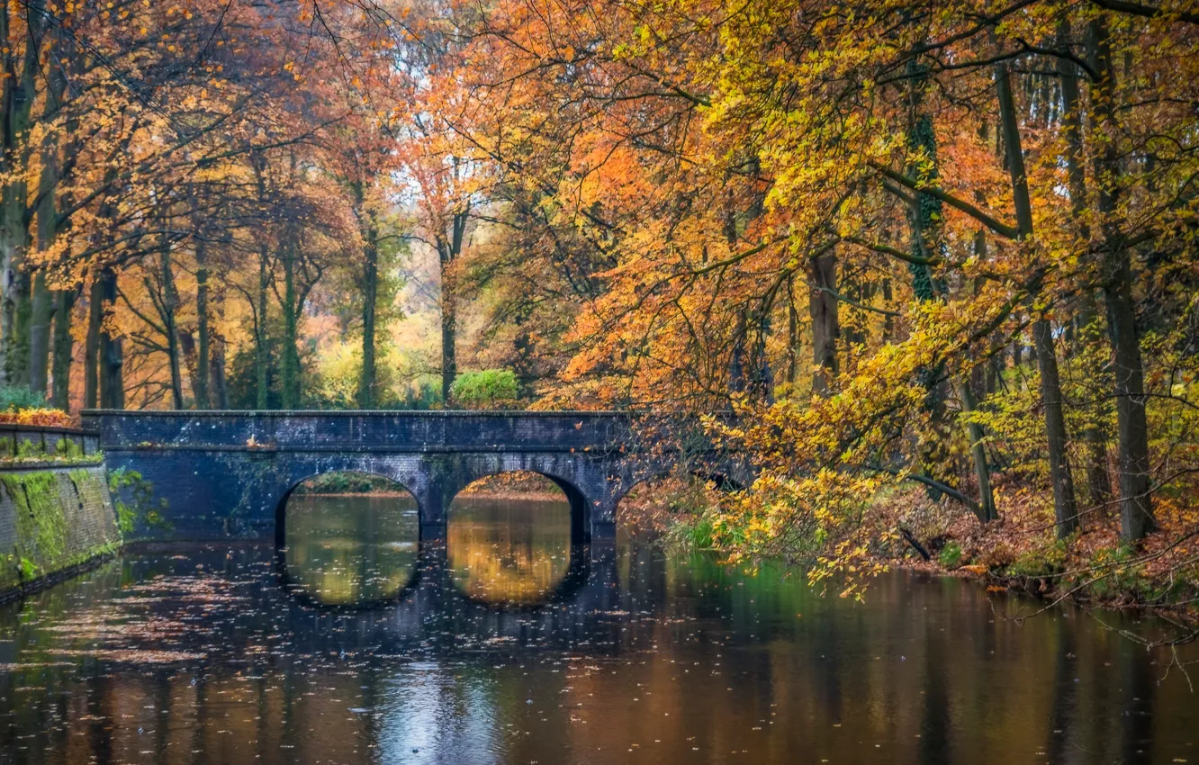 Фото обои осень, деревья, мост, парк, река, Нидерланды