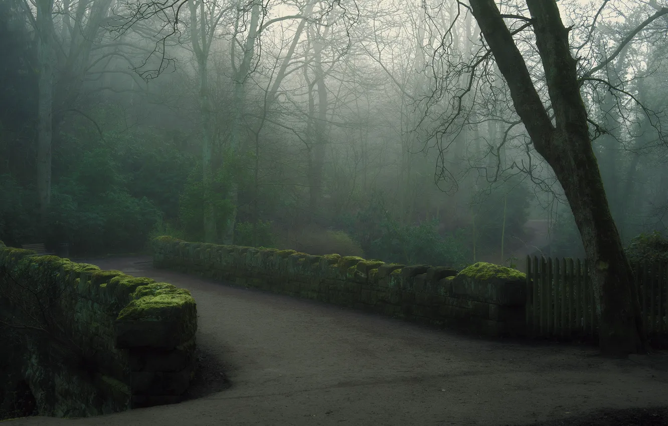 Фото обои мост, туман, парк, утро