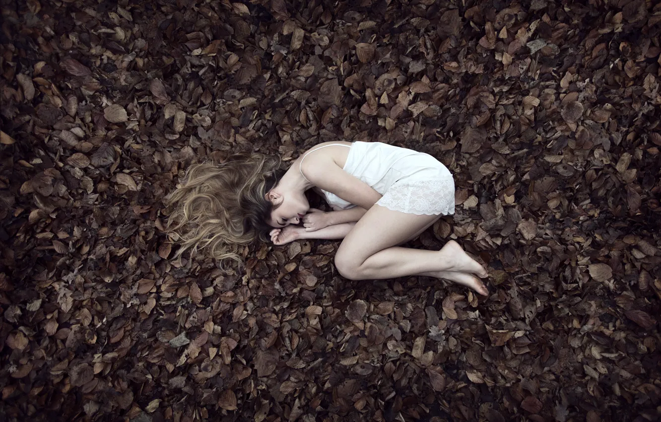 Фото обои light, girl, long hair, young, autumn, leaves, model, beauty